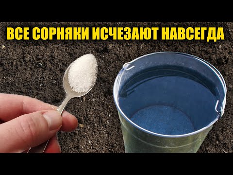 Видео: Любые сорняки исчезнут за 1 минуту навсегда! Проверенный способ как избавиться от сорняков без химии