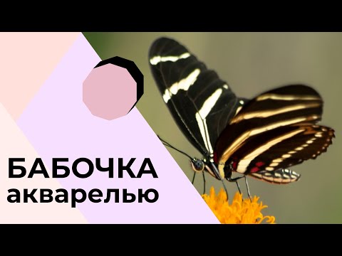 Видео: Дизайн ногтей — бабочка. Пошаговая инструкция для начального уровня.
