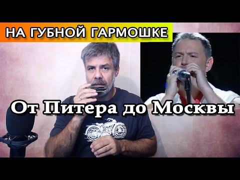Видео: От Питера до Москвы на губной гармошке