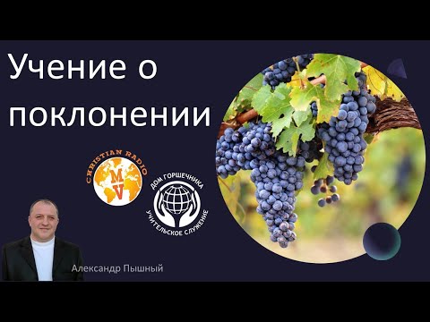 Видео: Учение о поклонении. Александр Пышный.