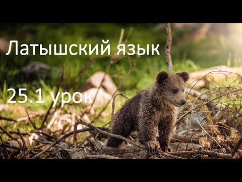 Видео: 25.1 урок