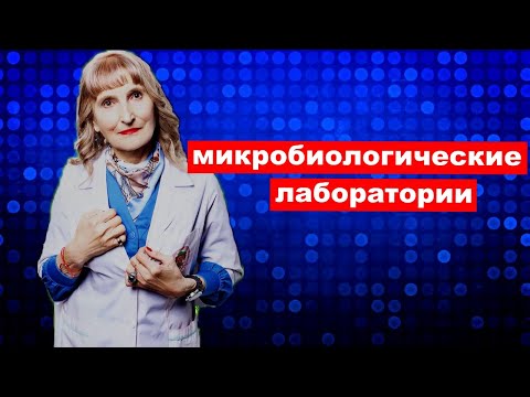 Видео: Микробиологические лаборатории.
