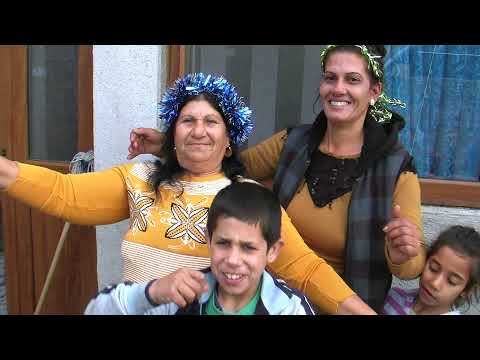 Видео: боянка