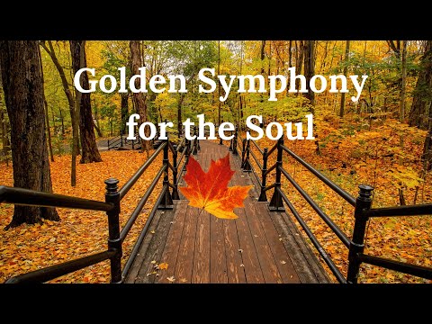 Видео: Музыкальные Пейзажи Осени Золотая Симфония для Души/ Golden Symphony for the Soul