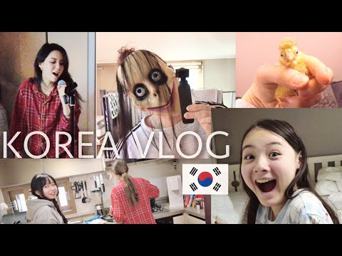 Видео: Предновогодний семейный домашний влог ^^ KOREA VLOG