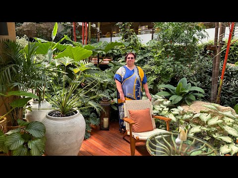 Видео: Прогулка по отелю Dusit Thani  5 * Паттайя