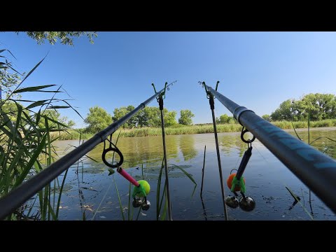 Видео: 🇺🇦КИЛОШНЫЕ ЛЕЩИ на ОГНЕННУЮ КАШУ | ловля леща на фидер + рецепт каши