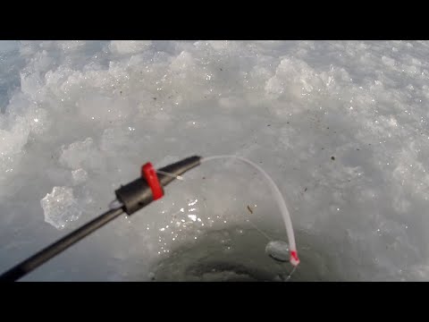 Видео: ОНА ЗАГНУЛА КИВОК  ДУМАЛ ПЛОТВА А ТАМ.......ЗИМНЯЯ РЫБАЛКА 2022 В ГЛУХОЗИМЬЕ