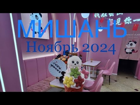 Видео: ч.1 Мишань ноябрь 2024