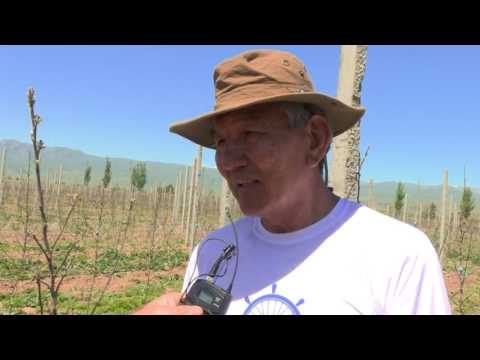 Видео: АКЫЛ ЗАМАН