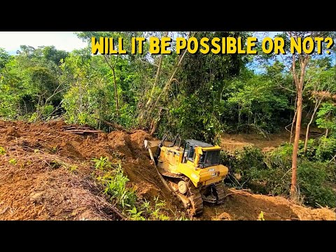 Видео: Самый подходящий бульдозер для работы в джунглях — CAT D7R меняет плантацию