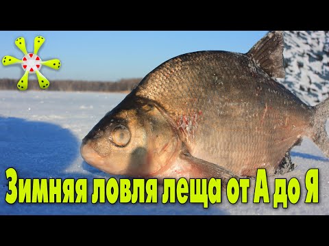 Видео: Зимняя ловля леща в палатке с комфортом от А до Я. Оборудование, снасти, прикорма и быт.