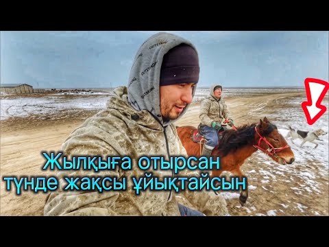 Видео: Жылқыға отырсан төске соғады | Тихон екеуміз жылқыға  отырдық.