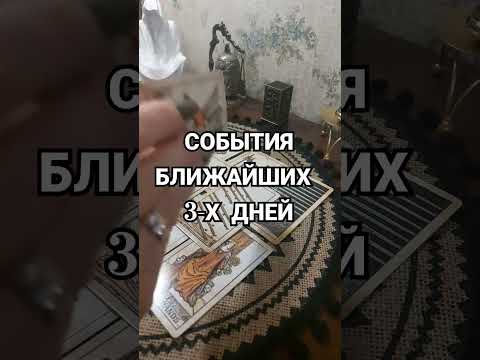 Видео: 8 октября 2024 г.