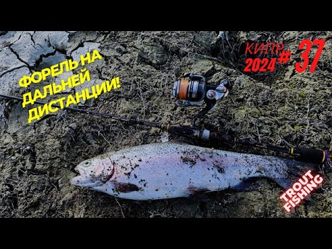 Видео: Рыбалка на Кипре.Форель на дальней дистанции.Часть -37.Сезон 2024