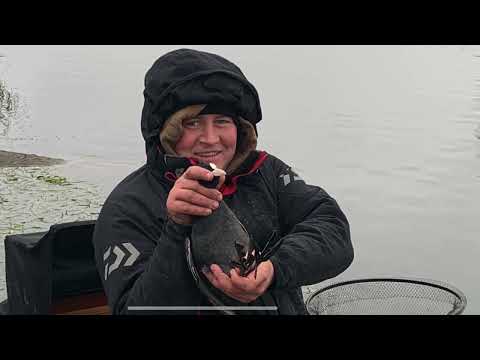 Видео: Зимовий фідер на Бурштині .  Канал здивував.