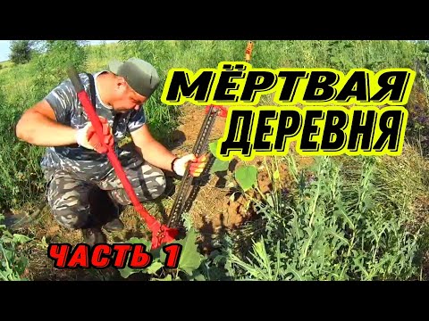 Видео: Покинутая деревня, МЕТАЛЛОКОП. #hunting #поисксметаллоискателем #заработок #metaldetecting #коп