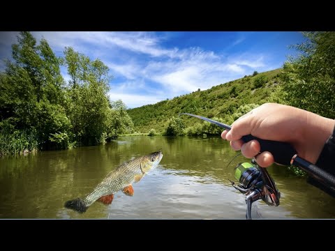 Видео: КОЛИ ОЧИСТИТЬСЯ ДНІСТЕР?ГОЛАВЛЬ НА ВОБЛЕР|р.Серет