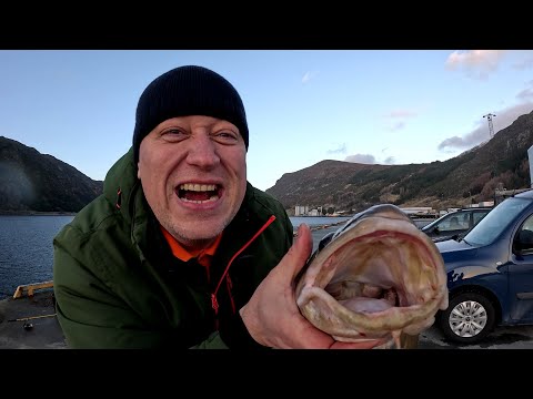 Видео: У тебя клюёт. Заставила. Блинчики с оладями. Рыбалка