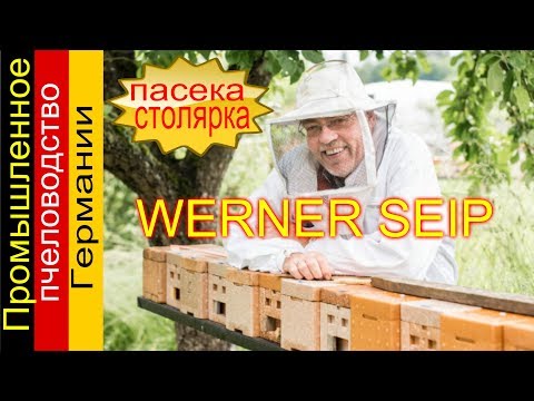 Видео: WERNER SЕIP 🐝ПРОМЫШЛЕННАЯ ПАСЕКА 🐝 СТОЛЯРКА 🐝 ПРОМЫШЛЕННОЕ ПЧЕЛОВОДСТВО ГЕРМАНИИ - FABRO