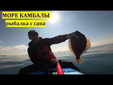 Видео: МОРЕ КАМБАЛЫ. Видео о рыбалке с сапа в Уссурийском заливе.