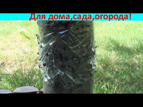 Видео: 3 ЛОВЧИХ ПОЯСА! Просто и надежно!!!