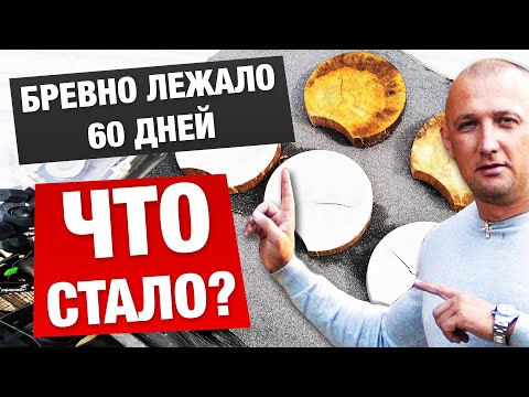 Видео: ЗИМНИЙ И ЛЕТНИЙ ЛЕС. КАК НАС ОБМАНЫВАЮТ?