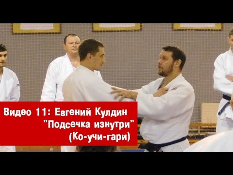 Видео: Видео 11: Евгений Кулдин - Подсечка изнутри (Ко-учи-гари)