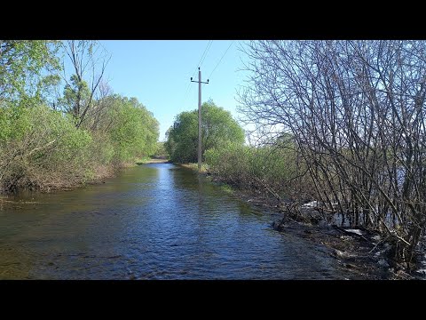 Видео: Река Припять 20 04 2024 Дорога к плотине Стахово.