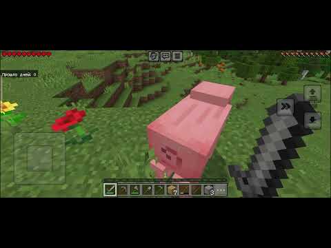 Видео: 10 ноября 2025 г.