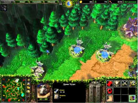 Видео: warcraft 3 с Майкером и Виви 10.06.13
