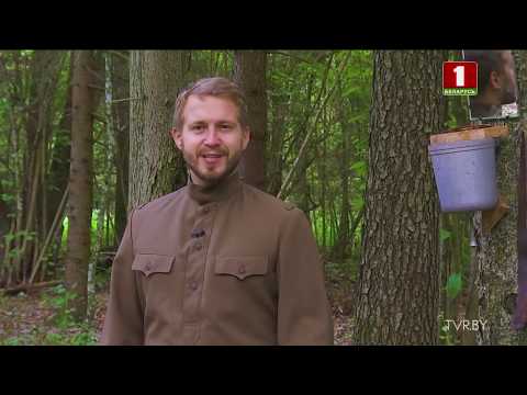 Видео: Маршрут построен. Коссово. Выпуск 05.10.2019