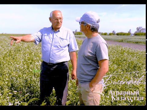 Видео: Малышко Ю. М. - первый среди лучших. No-Till в Казахстане