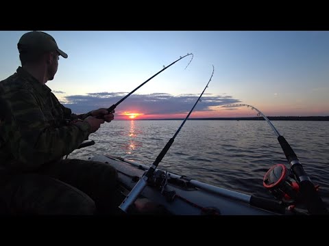 Видео: РЫБАЛКА В КАРЕЛИИ НА ОНЕЖСКОМ ОЗЕРЕ! СУДАК,ЕЩЁ СУДАК,ОПЯТЬ СУДАК!!!