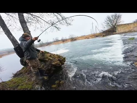Видео: НА это ты точно поймаешь ЖЕРЕХА и ГОЛАВЛЯ весной!