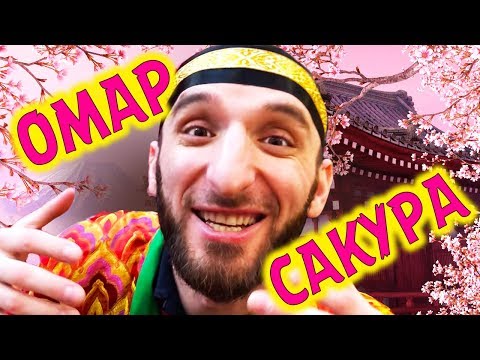 Видео: Омар на Фестивале японской культуры // Омар в большом городе