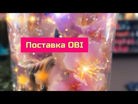 Видео: Поставка в OBI , цветущие орхидеи фаленопсис , Алоказии , фикус #orchid #flowers #цветы 