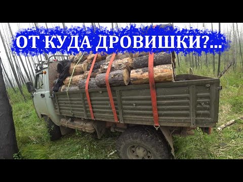 Видео: ЗАГОТОВКА ДРОВ 2021...Испытание дровокола!