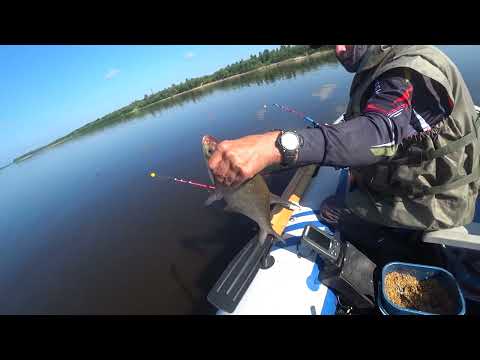 Видео: Чуть рыбалку не проспал. Рыбалка на бортовые удочки