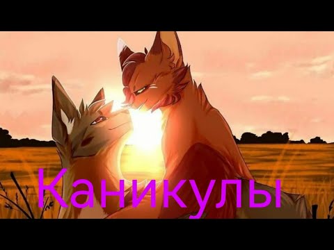 Видео: Коты Воители. Клип. Каникулы.Котёнок Ника