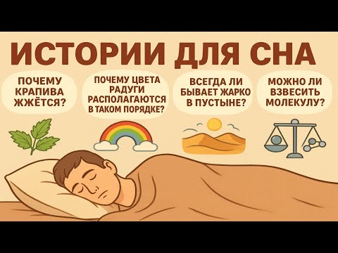 Видео: Энциклопедия сна: ответы на вопросы, с которыми вы засыпаете