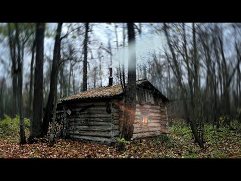 Видео: НОЧЬ в ИЗБЕ БРАКОНЬЕРОВ ? | УДИВИТЕЛЬНАЯ НАХОДКА на реке | ЗИМОВЬЕ в ЛЕСУ