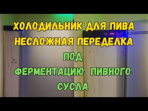 Видео: Холодильник для пива W-1209