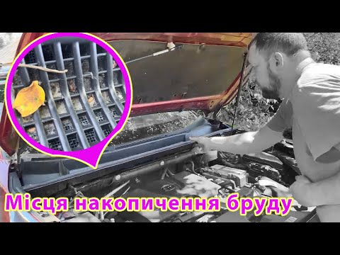 Видео: Як зняти жабо на Toyota RAV4 (ХА50)  Чистимо фільтри