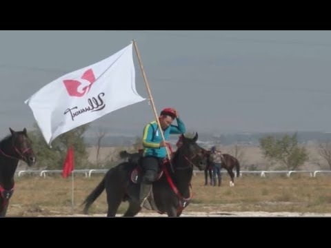 Видео: Көкпардан Қазақстан чемпионаты