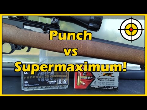 Видео: Есть ли НОВЫЙ король проникновения? .22LR Federal Punch против Aguila Supermaximum, тест на балли...