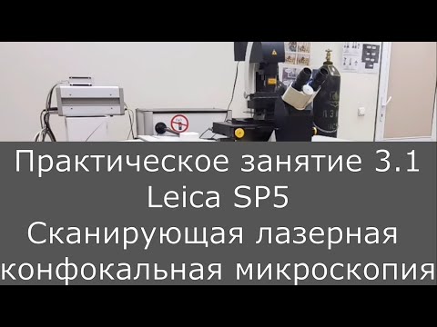 Видео: Оптическая микроскопия. Практика 3.1.