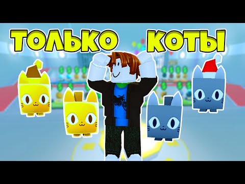 Видео: ПРОШЕЛ ИГРУ ЗА 1 ЧАС ТОЛЬКО С КОТАМИ CAT PETS В PET SIMULATOR X ROBLOX