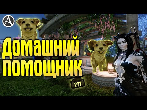 Видео: ArcheAge 7.5 ДОМАШНИЙ ПОМОЩНИК - ПОДРОБНЫЙ ГАЙД