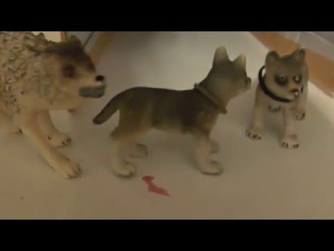 Видео: Жизнь волков. 3 серия(Кову) Дополнительно!